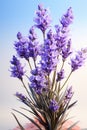 close up lavandula angustifolia on white background. AI Generated