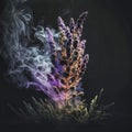 Close-up of lavender with fragrant perfume smoke, generative AI Royalty Free Stock Photo