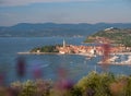 CLOSE UP: Lavender obstructs the view of a historic coastal town in the Adriatic