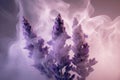 Close up lavender with scent perfume smoke , Generative Ai Royalty Free Stock Photo