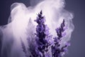 Close up lavender with scent perfume smoke , Generative Ai Royalty Free Stock Photo