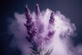 Close up lavender with scent perfume smoke , Generative Ai Royalty Free Stock Photo