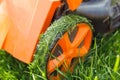 Close up lawn mower or grass cutter mowing fresh grass in garden. Cut organic green lawn in garden. Environment care Royalty Free Stock Photo