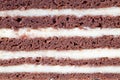Close-up of a layered chocolate and cream cake, a tempting dessert with rich flavors and textures