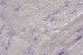 Close-up of layers of soft white and purple paper