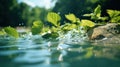 A close up of a leaf floating in water with green leaves, AI Royalty Free Stock Photo