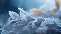 A close up of a leaf with frost on it, AI