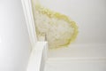 Close-up of a leak in the ceiling. consequences of a burst pipe in the upstairs. insurance situation.