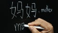 Learning Chinese alphabet `pinyin` in classroom