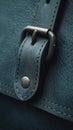 A close up of a leather bag with metal buckle on it, AI