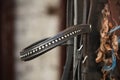 Close up of leather horse bridle Royalty Free Stock Photo