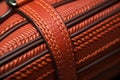 close-up of leather saddle stitching details Royalty Free Stock Photo
