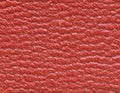 Close-up of leathery red texture