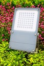 Garden led flood light Royalty Free Stock Photo