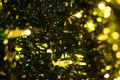 Close up of LEDs on an artificial christmas tree Royalty Free Stock Photo