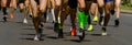 close-up legs runners athletes running city marathon Royalty Free Stock Photo