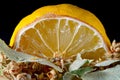 Close up of lemon with linden leaves