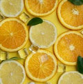 Close Up of Lemon Orange Leaves Cube Ice Sea Shells Citrus Pattern on Yellow Background Minimal Flat Lay