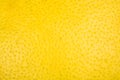 Close up of lemon or pamela texture peel