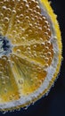 Close-up of lemon slice with bubbles in water Royalty Free Stock Photo