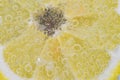 Close-up of a lemon slice in liquid with bubbles. Slice of ripe lemon in water. Close-up of fresh citron slice covered Royalty Free Stock Photo