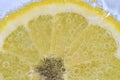 Close-up of a lemon slice in liquid with bubbles. Slice of ripe lemon in water. Close-up of fresh citron slice covered Royalty Free Stock Photo