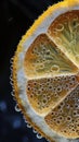 Close-up of lemon slice submerged in carbonated water with bubbles Royalty Free Stock Photo