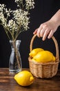 Close-up of lemons in basket with handle, woman hand holding it, bottle with white flowers and whole lemon on wooden table and bla Royalty Free Stock Photo