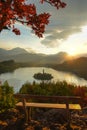 LENS FLARE: Golden sunrise shines on the idyllic lake Bled and the church. Royalty Free Stock Photo