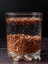 close-up of lentil beans are soaked in a glass of water Royalty Free Stock Photo