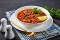 Close-up of lentil soup in a white bowl Royalty Free Stock Photo