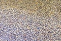 Close up lentils in bulk