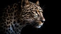 Close up of leopard on dark background. Generative AI Royalty Free Stock Photo