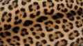 Leopard\'s fur texture vector background Royalty Free Stock Photo