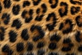 Close up leopard spot pattern texture background, realistic Royalty Free Stock Photo