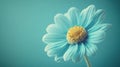 Close-up of a light blue flower against a teal backdrop Royalty Free Stock Photo