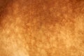 Close-up of light brown horse fur with dapple Royalty Free Stock Photo
