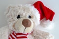Close up of a light brown teddy bear with a santa hat Royalty Free Stock Photo