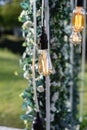 Close up of light bulb decor for a ceremony in outdoor. Fragment of wedding arch on green background.