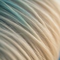 Close-up of light-colored hair with a subtle blue tint. The strands are fine and densely Royalty Free Stock Photo