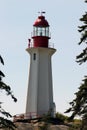 A close up of light house with tree Royalty Free Stock Photo