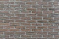 Close-up light red and white tinted brick wall Royalty Free Stock Photo