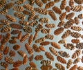 Background Pine Cones Suspended in Resin