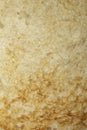 Close up of lightly toasted bread as a texture Royalty Free Stock Photo