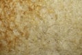 Close up of lightly toasted bread as a texture Royalty Free Stock Photo