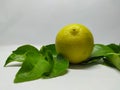 Close up Lime isolated on a white background Royalty Free Stock Photo