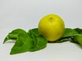 Close up Lime isolated on a white background Royalty Free Stock Photo