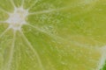 Close-up of a lime slice in liquid with bubbles. Slice of ripe lime in water. Close-up of fresh lime slice covered by Royalty Free Stock Photo