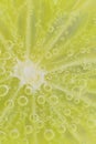 Close-up of a lime slice in liquid with bubbles. Slice of ripe lime in water. Close-up of fresh lime slice covered by Royalty Free Stock Photo