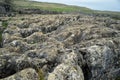 Close up of limestone pavement above Malham Cove Yorkshire UK